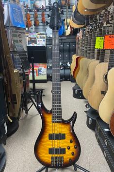 Bass Guitars