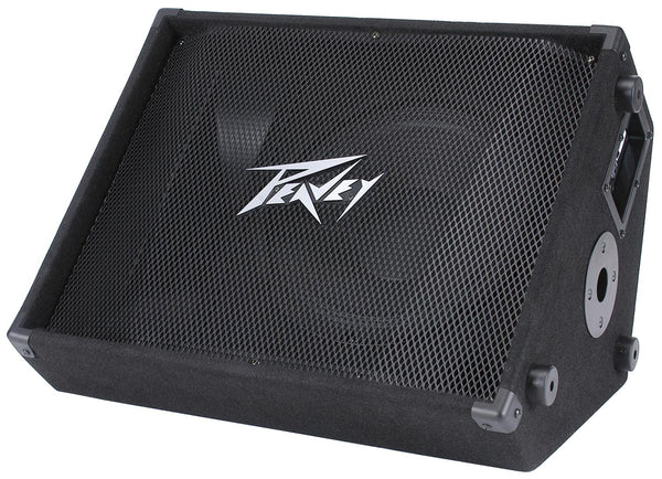 Peavey PV 12M 2-Way Floor Monitor