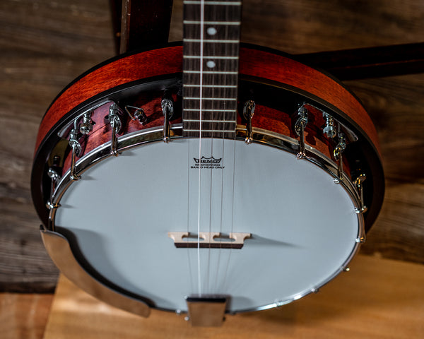 Washburn B8 Banjo Pack