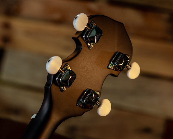 Washburn B8 Banjo Pack