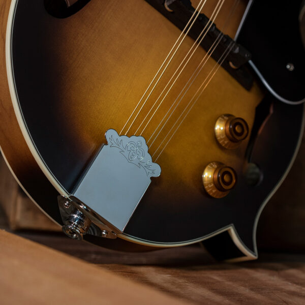 Washburn M3E-PACK Mandolin Pack