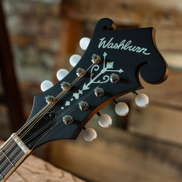 Washburn M3E-PACK Mandolin Pack