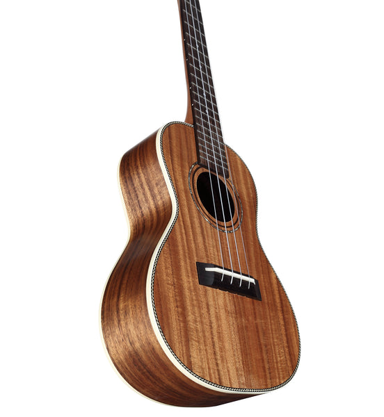 Alvarez RU90CP Regent Concert Ukulele Pack with Tuner and Gig Bag