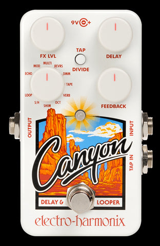 Electro-Harmonix Canyon Delay & Looper Pedal