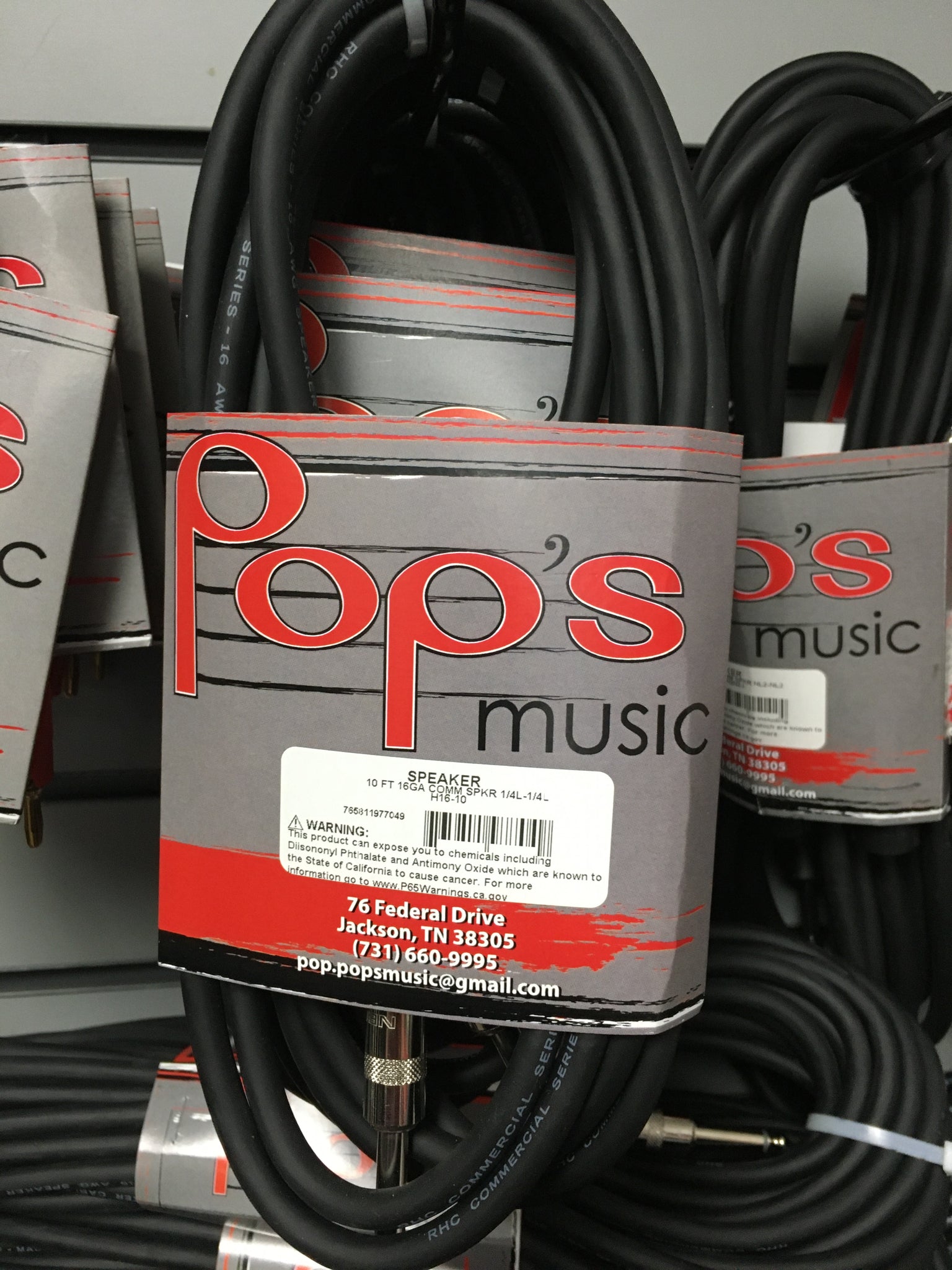 RapcoHorizon H16-10 10' 1/4" Speaker Cable