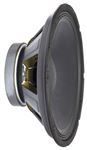 DM112 Raw Speaker